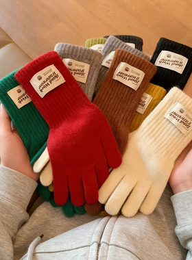 红色圣诞可触屏长款针织手套女2025新款秋冬防寒保暖骑行户外防风