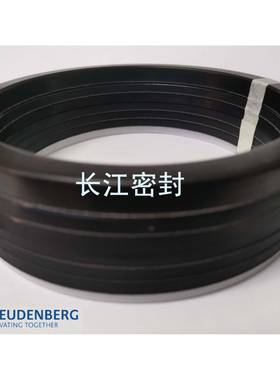 MERKELFREUDENBERGDMST1171270-300-15580-620-80油缸组合封