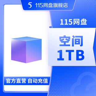 不包含VIP服务 115网盘 长期有效 超值容量 自动到账 1TB空间扩容