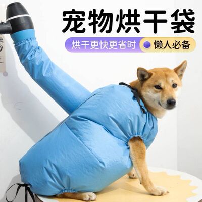 狗狗金毛洗澡宠物烘干袋中大型犬家用全自动吹毛烘干箱神器吹风机