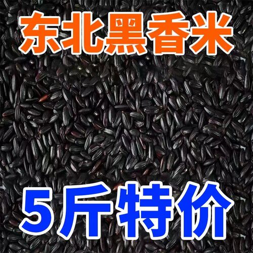 东北五常黑米新米五谷杂粮黑香米糙米黑糯米粥孕妇减餐代餐