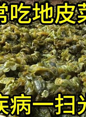 地皮菜甘肃野菜干货地软地达菜地衣雷公菌地耳新货地皮菜青菜小炒