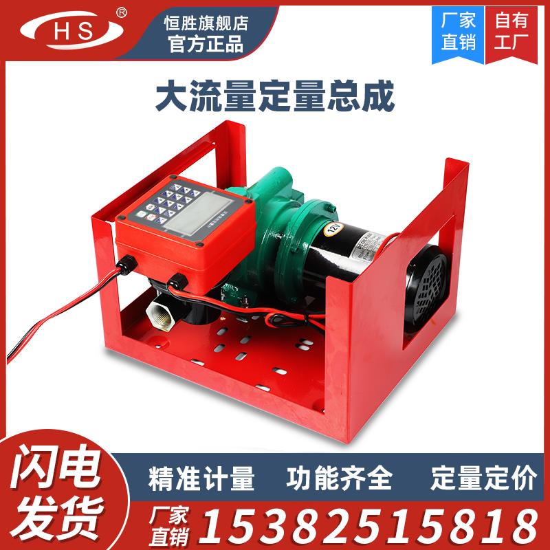 定量大流量加油泵总成柴油电动抽加油计量泵12V24V220V小型加油机