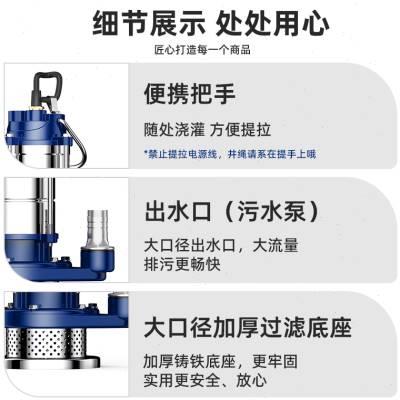 人民潜水泵220V水泵家用抽水小抽水泵污水泵灌溉不锈钢清水泵