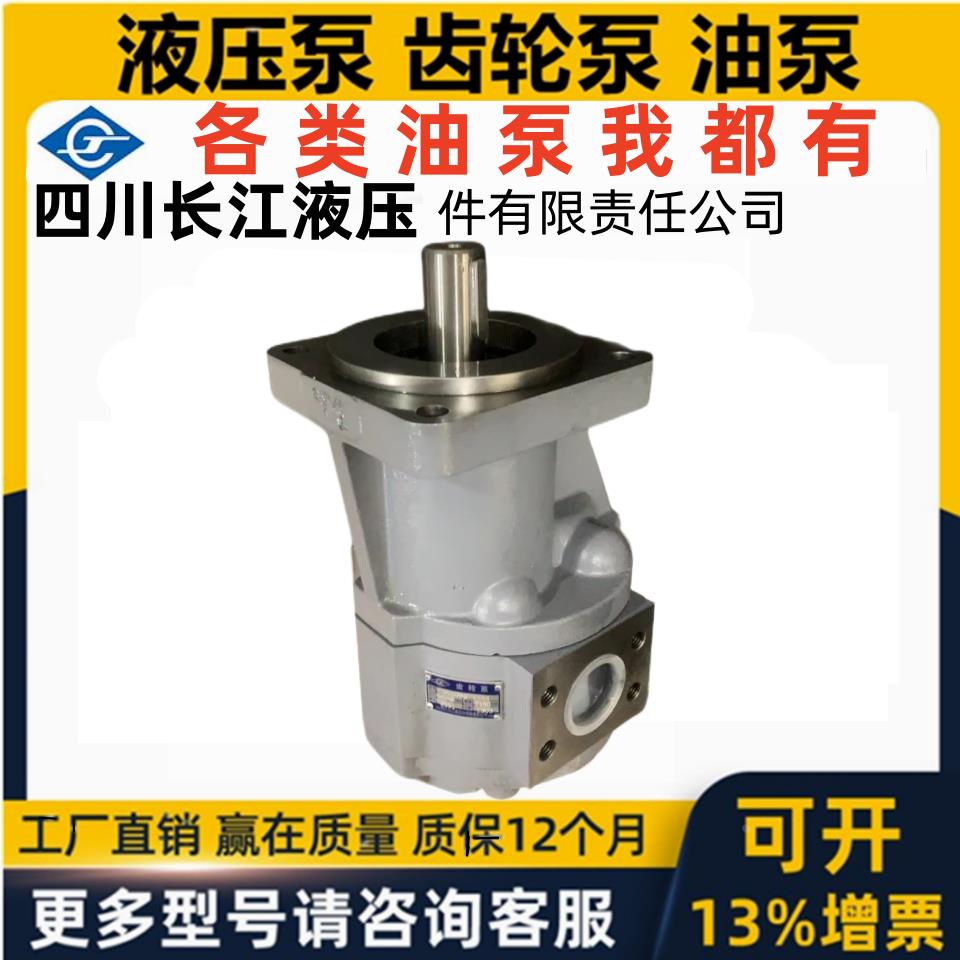 四川长江液压油泵CBG2080 CBG2063 CBG2100 CBG 2040 2050 -143S