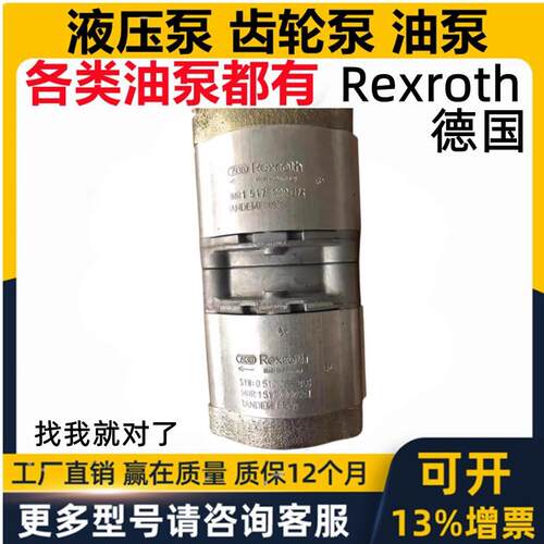 REXROTH力士乐双联齿轮油泵0510 365 305 1517 222531 222 374