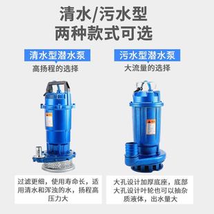 家用电污水泵清水泵220V高扬程灌溉浇农用抽水机大流量铸铁潜水泵