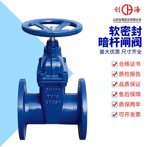 Z45X-16Q 球墨铸铁暗杆软密封闸阀 法兰弹性座封闸阀DN50 80 100
