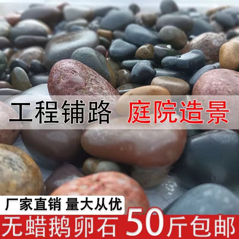 速发黑卵石5-石铺地雨花石原8-5五彩鹅白石头庭院铺路