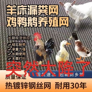 速发【不看后悔】养羊床漏粪网网床钢围网丝栏网鸡鸭鹅底羊养殖网