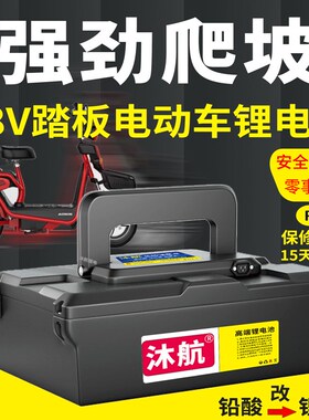 速发电动车标日V锂12A20AH新国4爱玛台铃新8伏踏板车通用电瓶