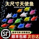 天使鱼热带鱼观赏鱼鱼缸群游小型鱼苗金鱼冷水淡水活体鱼好养耐活