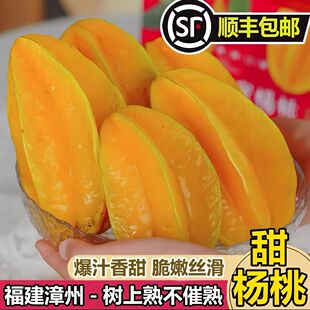 【顺丰包邮】福建漳州甜杨桃五角星新鲜现摘当季大果香蜜红龙杨桃