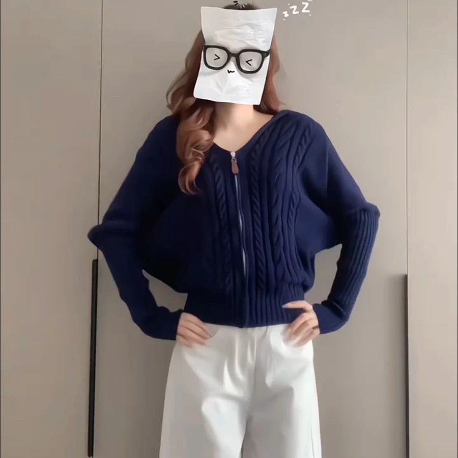 秋季穿搭女款连帽拉链针织开衫高知感韩系蝙蝠袖麻花百搭毛衣外套