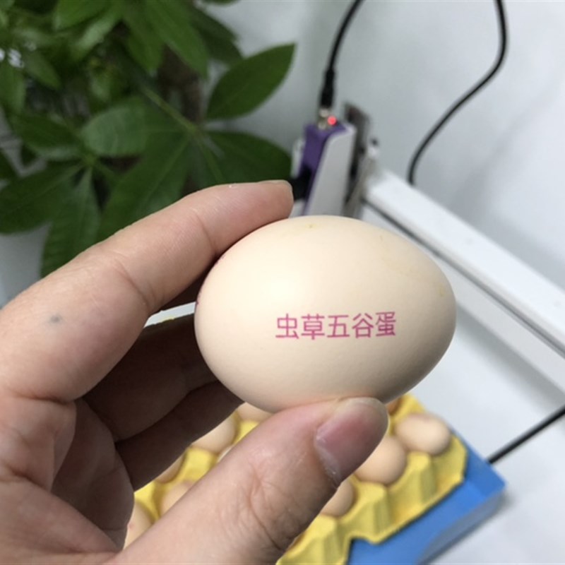 莱柯鸡蛋喷码机高端品质高清喷印整盘打印商标日期文字等 免维护