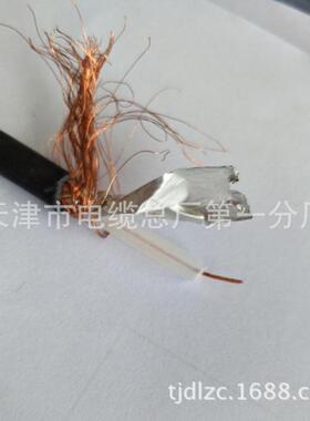 ZYRSV阻EGS燃视频线ZRSYV5-75厂家直供格