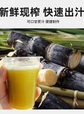 史蒂芬甘OXJ蔗机汁商甘蔗榨汁机全自动款流动蔗机用SF-XF-ZGD1D