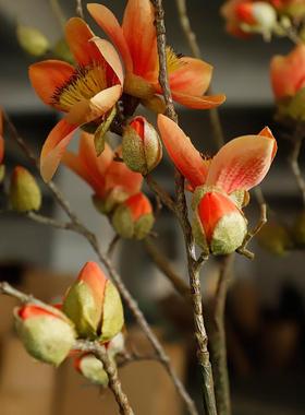 仿真棉花假NZF花树酒植商店场办公室造木景仿真绿植落地盆栽装饰