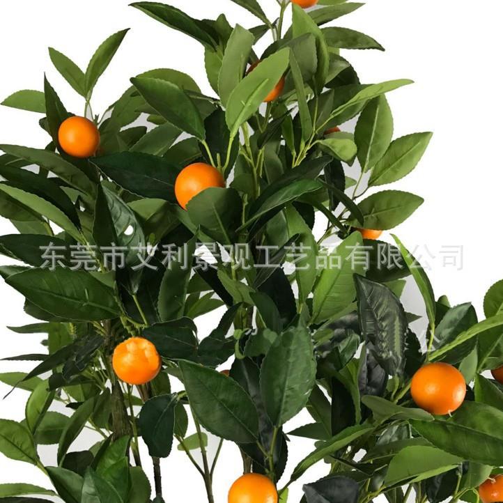 桔子树盆景家居室内植物饰塑装料花盆柑景假橘观赏YHJ植物