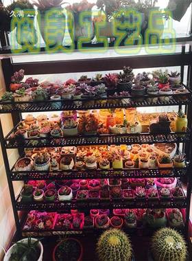 多肉架花架多补24296光用花架室内多层移动带轮肉花盆架子置物花