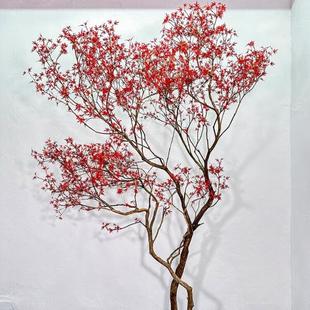 饰艺景天仿橱真枫叶树假枫树大型绿植假树窗景室内ISP造装 仿生植