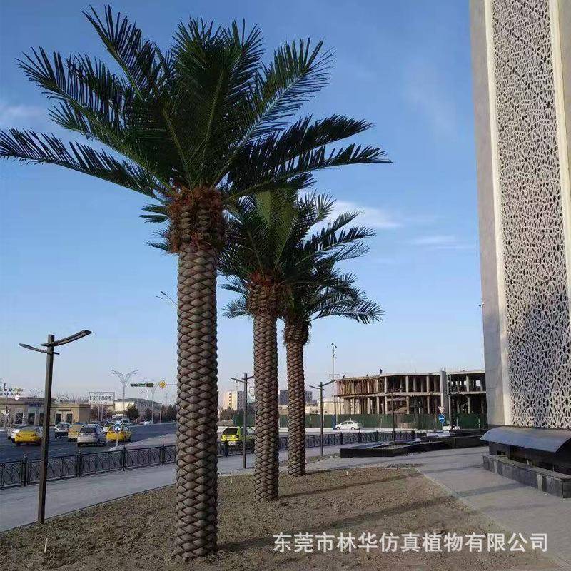 仿真海藻仿大型真海枣树小区绿化热景观树加纳利带LNS海藻树树