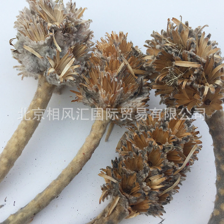 【木棉花】进口干花天然植物自然花家居摆设装饰插花拍照道具花束