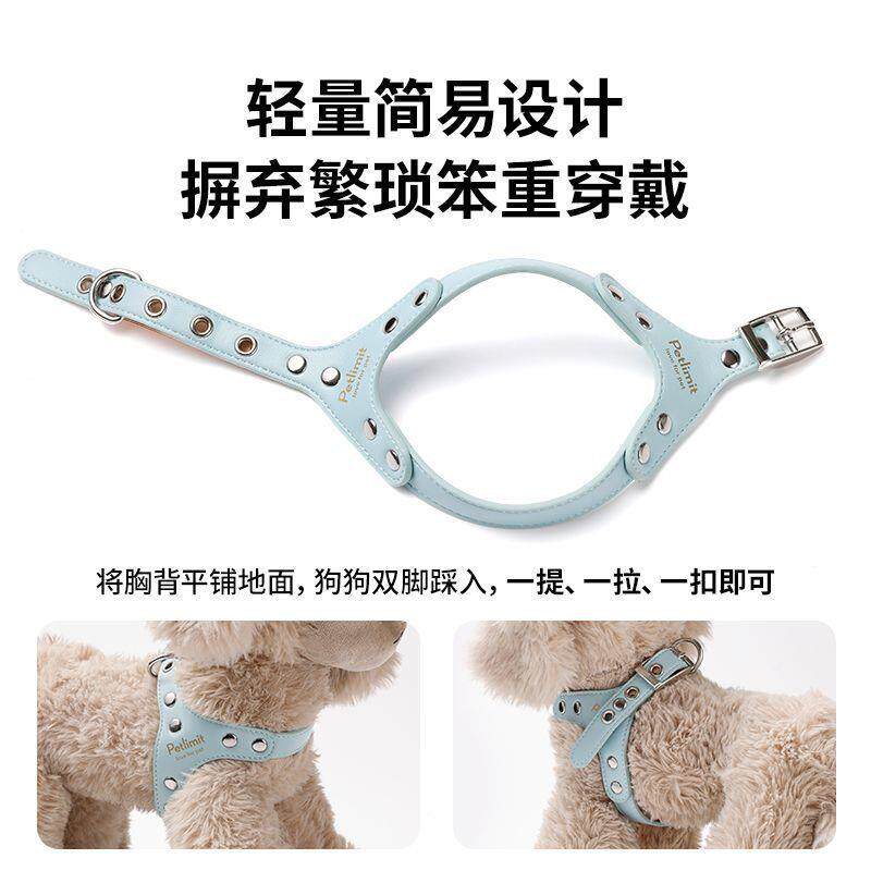 式小狗狗牵引绳胸背型带小宠犬遛狗绳背心泰迪比熊幼犬BGC物牵狗