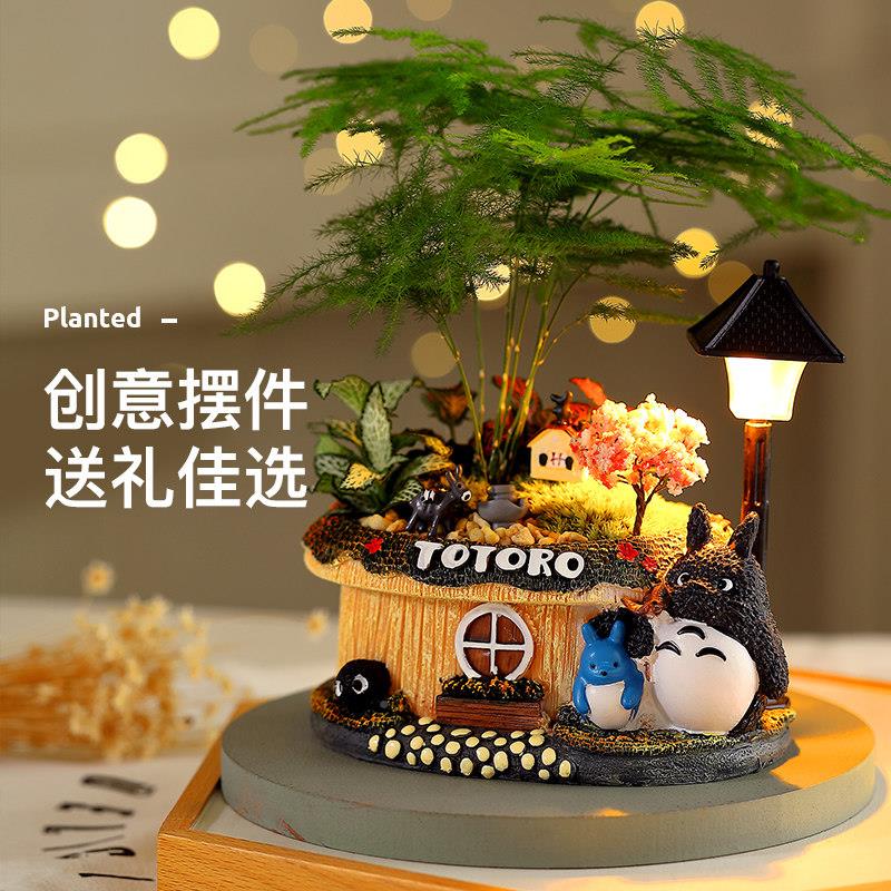 龙微景盆栽绿发财树文竹植办公室内猫桌面招财摆件创龙猫花盆意观