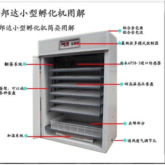 鸡小型鸽子孵化机全自家用孵36化化全自动家用智能孵动蛋器器孵机
