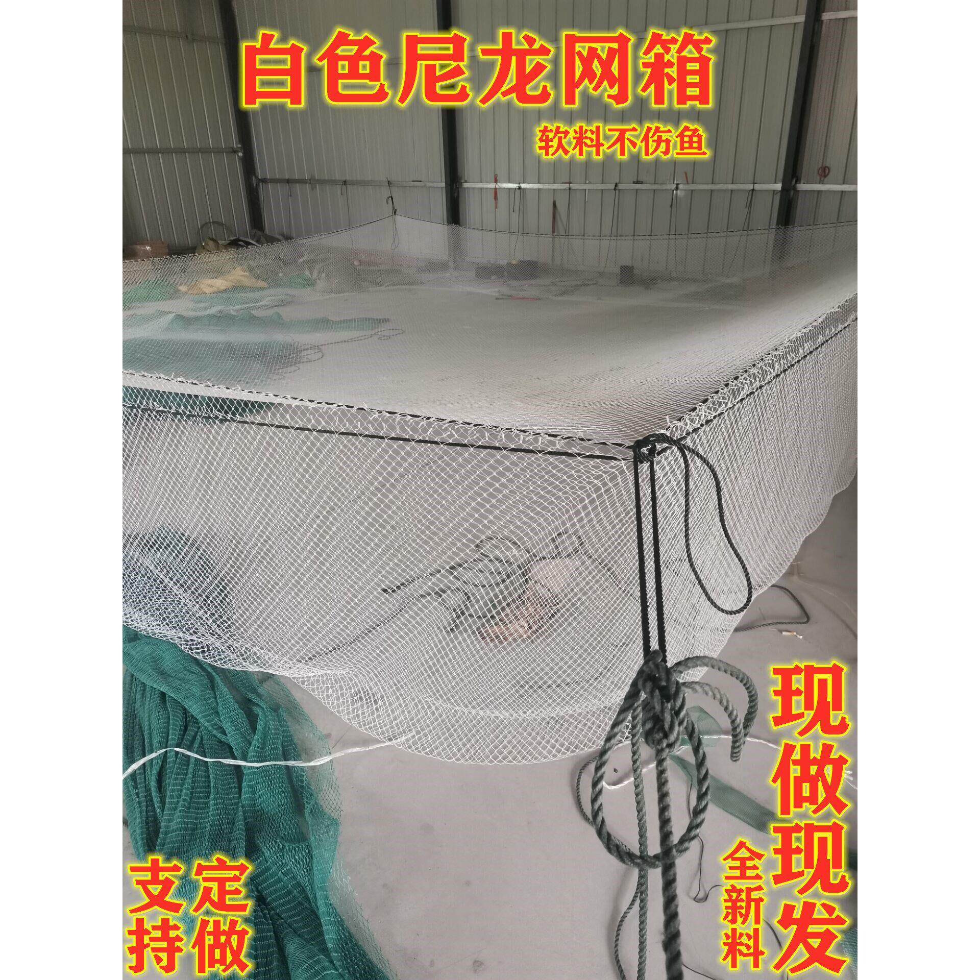定尼做养鱼箱水产存鱼网箱养殖网大网箱箱大鱼渔网网白色龙不塘伤