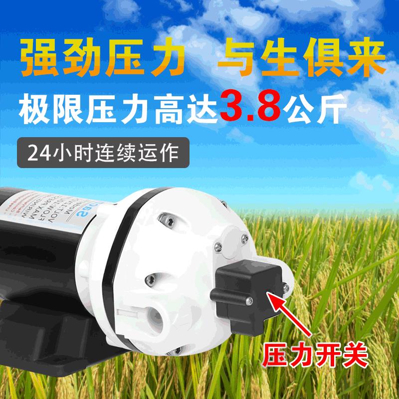12V24吸V流隔膜泵直耐强碱取洗涤液抽抽吸乙醇灌装机器自泵抽酒精