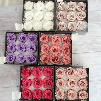 大地农进口052024c05202/052园32diy礼盒玻璃罩永材料包030m42生