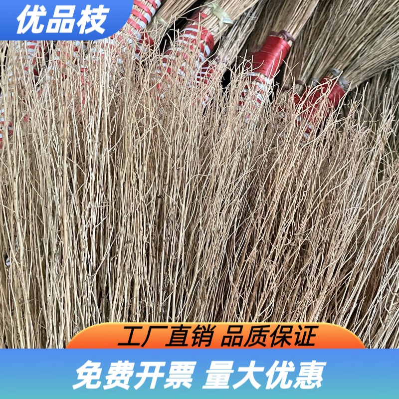 铁扫把金丝草小扫帚软毛s庭院工厂车间树枝加厚水V泥地环卫观音笤