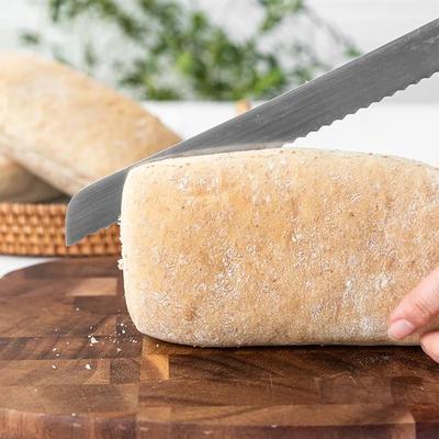 帕尼尼面包胚早餐三明治面包胚子代餐意大利欧式恰巴塔汉堡半成品