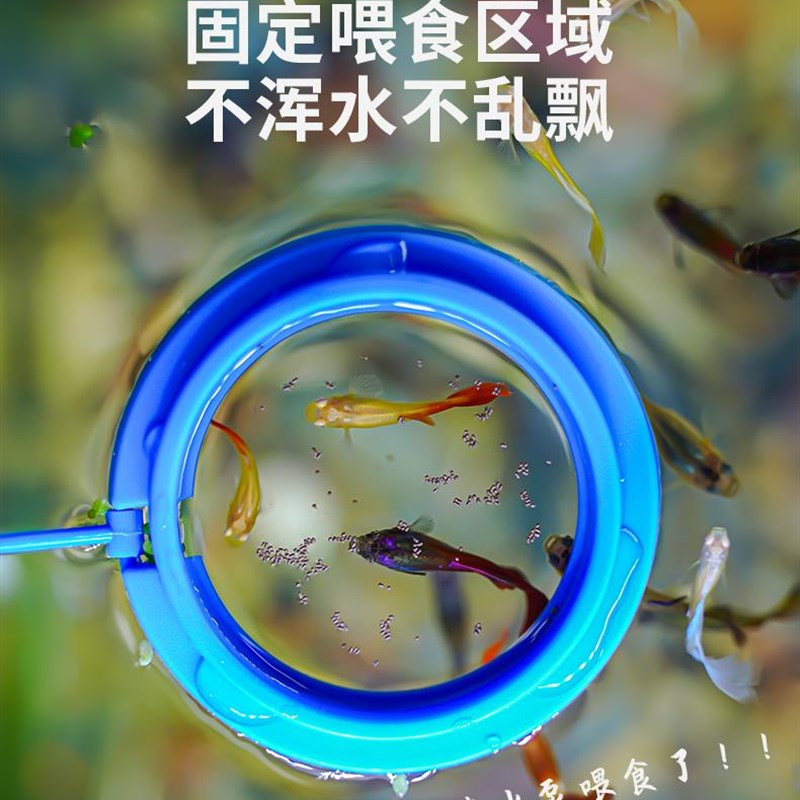 速发固定喂鱼器鱼缸喂食神器孔雀鱼漂浮喂食圈丰年虾投食器鱼食投