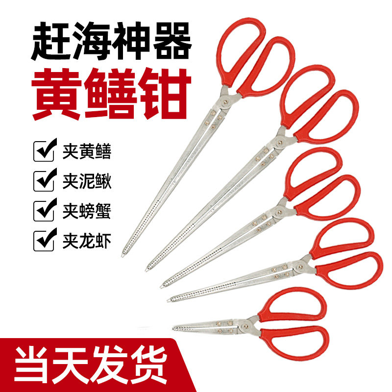 速发不锈钢黄鳝夹子鳝鱼鳅火钳垃圾夹泥夹虾蟹钳子抓龙螃赶海工具