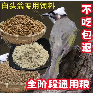 速发【活动中】白头翁鸟食白头鹎鸟鸟食饲料鸟粮长尾四喜黑白鸲鸟