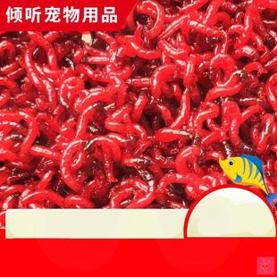 速发。鲜虫活虫鲜红虫虫血虫活饵钓鱼虫活活大虫小虫