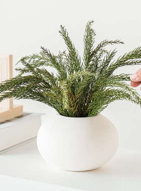 白色陶瓷花瓶竖纹ins简约室内桌面装饰客厅玄关水培插花花器摆件