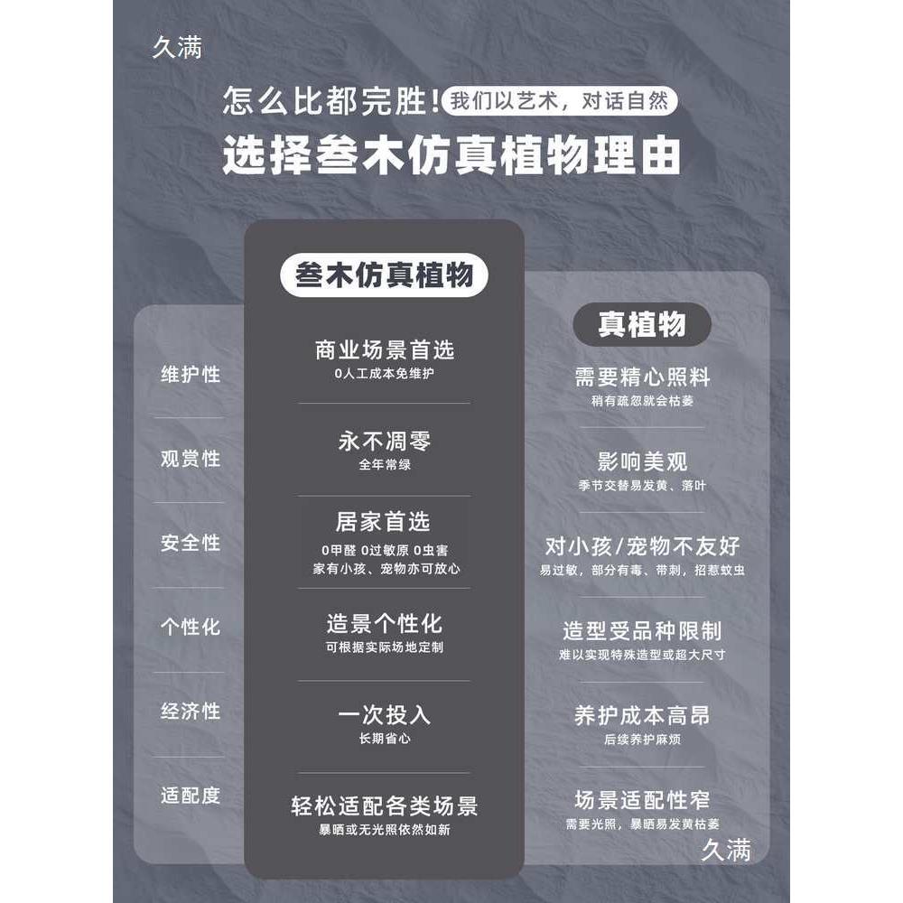 内无品牌/景观造景树马醉木屏断风植隔绿植客厅装室饰人造物摆件