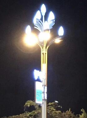 中华灯兰灯景观LE市电户外市政工程8玉米D9米10WFD米道路灯玉兰灯