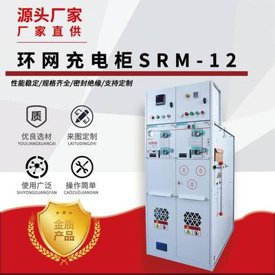 固体柜户外高压开关柜成套配电箱充气柜并网柜进出线环网柜10KV