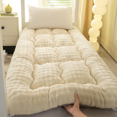 学生宿舍冬季加绒床垫软垫家用卧室单人床90X190褥子垫被租房专用