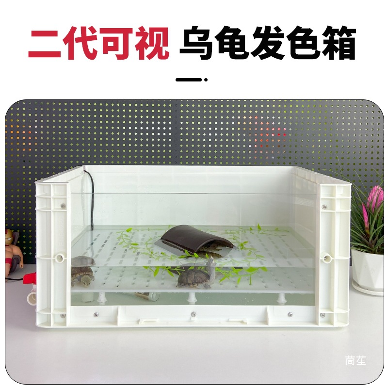 逆流鱼乌龟发色盒爬宠育苗箱盒蛋龟饲养盒多功能龟苗隔离盒龟缸