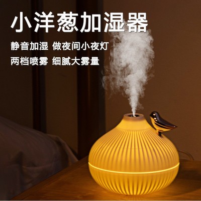 秋冬季小洋葱加湿器家用小型大雾量加湿简约大气车载加湿器