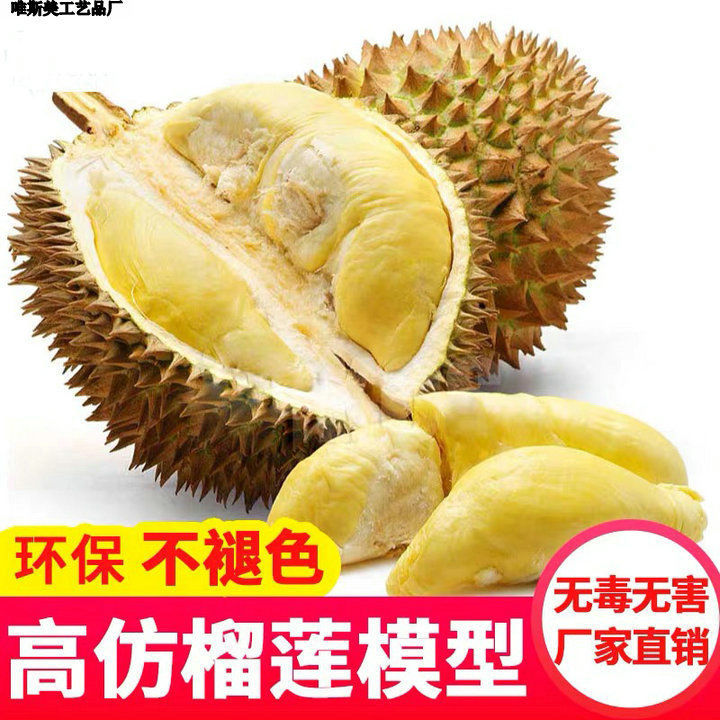 榴莲模型水果蔬菜塑料摆放道具龙眼假荔枝哈密瓜格坤