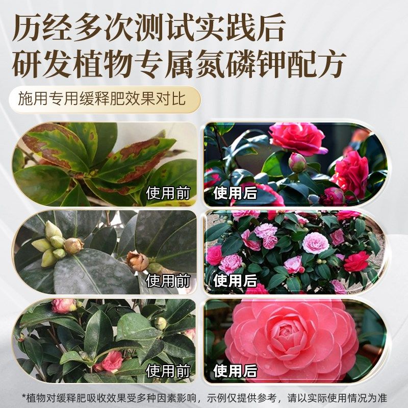 速发肥料肥颗粒缓释肥山茉莉杜鹃栀子花酸性促开花复合肥