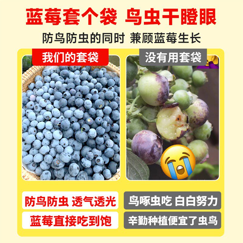 速发蓝莓套袋果袋草莓樱桃果树果子防鸟防虫无花果车厘子果实套袋