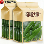爆款 旗舰店粽叶新鲜粽子叶大号宽棕叶商家用包粽子专用端午 推荐